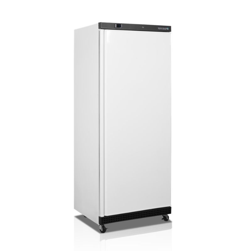 Negative Refrigerated Cabinet GN 2/1 - 555 L TEFCOLD | Secure storage and uniform temperature Negative Refrigerated Cabinet GN 2/1 - 555 L TEFCOLD | Secure storage and uniform temperature