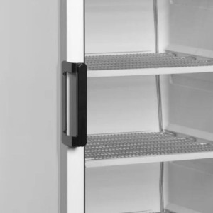 Klaasitud negatiivne külmkapp - 270L TEFCOLD: Tõhus ladustamine köögiprofessionaalidele