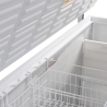 Sügavkülmik Jääkirst - Valge - 600 L | TEFCOLD CF700 SL