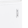 Sügavkülmik Jääkirst - Valge - 600 L | TEFCOLD CF700 SL