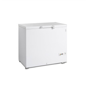 Sügavkülmik Jääkirst - Valge - 273 L | TEFCOLD