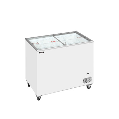 Congélateur Coffre Crème Glacée Cou. Coul. - 255 L TEFCOLD : Tõhus ja praktiline professionaalne ladustamine