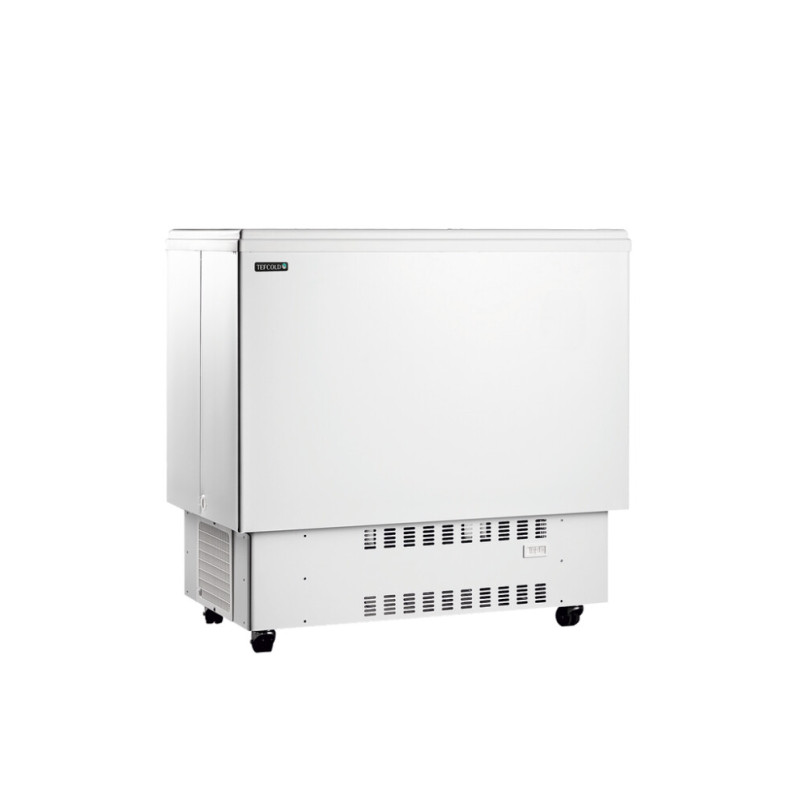 Réfrigérateur Coffre à Boissons Blanc 226 L TEFCOLD - Froid & Stockage Réfrigérateur Coffre à Boissons Blanc 226 L TEFCOLD - Froid & Stockage
