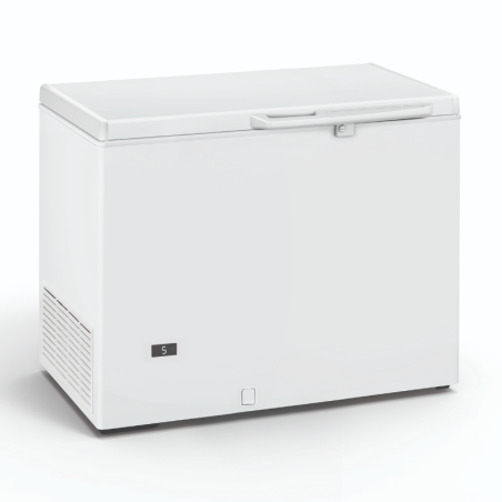 Sügavkülmik - 290 L