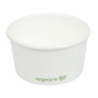 Bols Supi/Jäätise kompostitavad 170 ml - Partii 1000 Vegware