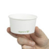 Bols Supi/Jäätise kompostitavad 170 ml - Partii 1000 Vegware