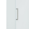Ventileeritud külmkapp 400 L - ABS sisemus - Dynasteel