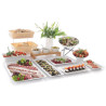 Plaat Gastronorm servalauale - GN 1/1