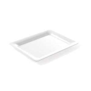 Plaat Gastronorm servalauale - GN 1/1