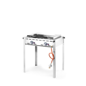 Professionaalne gaasigrill Green Fire kahe põletiga - bränd HENDI