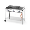 Professionaalne gaasigrill Green Fire - 3 põletit - HENDI