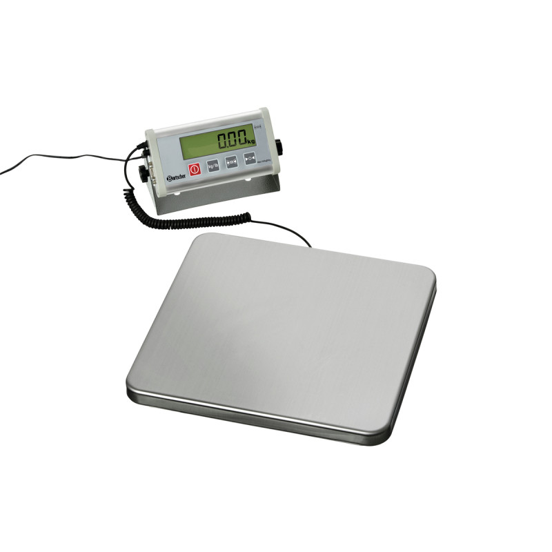Professional wall-mounted electronic scale Professional wall-mounted electronic scale