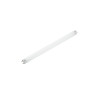 Toru Neon asendusputukatapja jaoks 39 cm