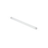 Toru Neon asendusputukatapja jaoks 39 cm