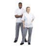 Köögipüksid Vegas väikeste siniste ja valgete ruutudega - suurus XS - Whites Chefs Clothing - Fourniresto