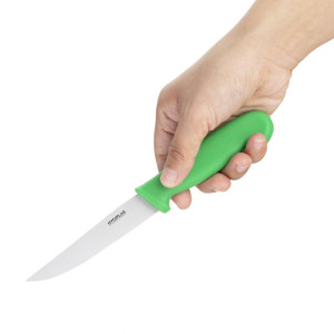 Köögiviljamugav nuga roheline sakiline tera 10 cm - Hygiplas - Fourniresto