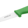 Kööginuga Roheline 9 cm teraga - Hygiplas - Fourniresto