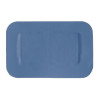 Eemaldatavad sinised plaastripadjad 28 x 38 mm - 50 tk komplektis - FourniResto - Fourniresto