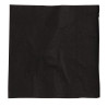 Kokteilisalvrätikud Mustad 2 Kihti 250 x 250 mm - 2000 tk komplektis - FourniResto - Fourniresto