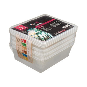 Hoiustamiskast GN 1/2 intensiivseks kasutamiseks 7,5 L - 4 tk komplektis - Bourgeat - Fourniresto