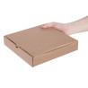 Pitsakarbid Kraft 23cm - 100 tk komplektis - Fiesta Green - Fourniresto