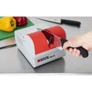 Elektriline teritaja RS75 - Dick