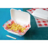 Hinged Bagasse Compostable Trays - 500 ml - 250 Pack - Fiesta Green