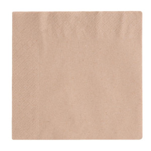 Salvrätikud Snacking 2 kihti Kompostitavad 330mm - 2000 tk komplektis - Vegware