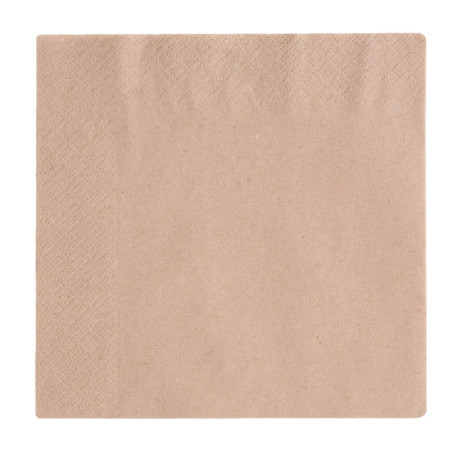 Salvrätikud Snacking 2 kihti Kompostitavad 330mm - 2000 tk komplektis - Vegware