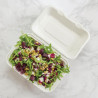 Toitude karbid suhkruroost koos hingedega kaanega - L 228mm - 200 tk komplektis - Vegware