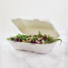 Toitude karbid suhkruroost koos hingedega kaanega - L 228mm - 200 tk komplektis - Vegware