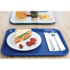 Iseteeninduse alusplaat 305 x 415 mm sinine - Olympia KRISTALLON - Fourniresto