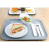 Iseteeninduse hall alusplaat 350 x 450mm - Olympia KRISTALLON - Fourniresto
