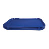 Plaadialus iseteeninduseks Sinine 450 x 350 mm - Olympia KRISTALLON - Fourniresto