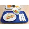 Plaadialus iseteeninduseks Sinine 450 x 350 mm - Olympia KRISTALLON - Fourniresto