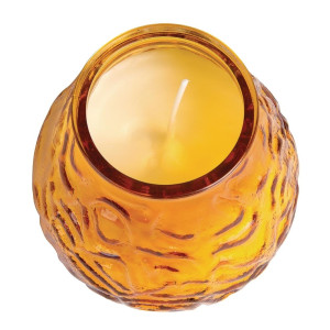 Bougie Veneetsia Bolsius Low Boy merevaigukarva 75 h - 12 tk komplektis - FourniResto - Fourniresto