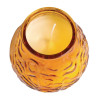 Bougie Veneetsia Bolsius Low Boy merevaigukarva 75 h - 12 tk komplektis - FourniResto - Fourniresto