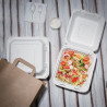 Komposteeritavad Bagasse karbid 223mm - 200 tk komplekt, keskkonnasõbralikud