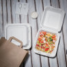 Hinged compostable Bagasse boxes 236mm - 200 tk komplekt