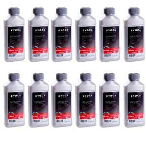 Kohvimasina katlakivieemaldaja 250 ml - 12 pudeli komplekt - Saeco