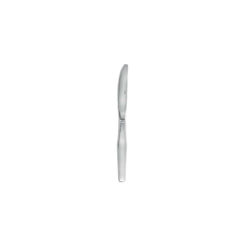 Table Knife Fjord Range - Set of 12 - AMEFA Table Knife Fjord Range - Set of 12 - AMEFA