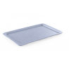 Ristkülikukujuline graniidimustriga GN 1/1 alusplaat - 530 x 325 mm