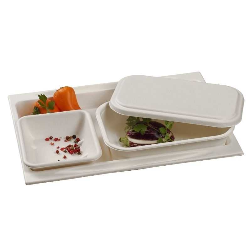 Meal Tray in Pulp - 273 x 194 mm - Pack of 50 Eco-friendly Meal Tray in Pulp - 273 x 194 mm - Pack of 50 Eco-friendly