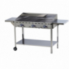Professionaalne gaasigrill Green Fire - 3 põletit - HENDI