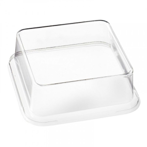 RPET kaan Assiette Kanopée 100 x 100 jaoks - 100 tk