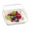 RPET kaan Assiette Kanopée 100 x 100 jaoks - 100 tk