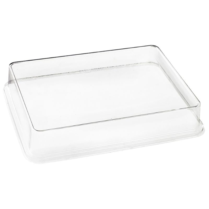 RPET kaas Kanopée taldrikule 200 x 150 mm - 100 tk komplekt RPET kaas Kanopée taldrikule 200 x 150 mm - 100 tk komplekt