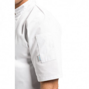 Kokandusvest valge lühikeste varrukatega Vegas - suurus XL - Whites Chefs Clothing - Fourniresto