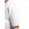 Kokandusvest valge lühikeste varrukatega Vegas - suurus XL - Whites Chefs Clothing - Fourniresto