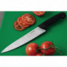 Kokanoater must 21,5 cm - Hygiplas - Fourniresto